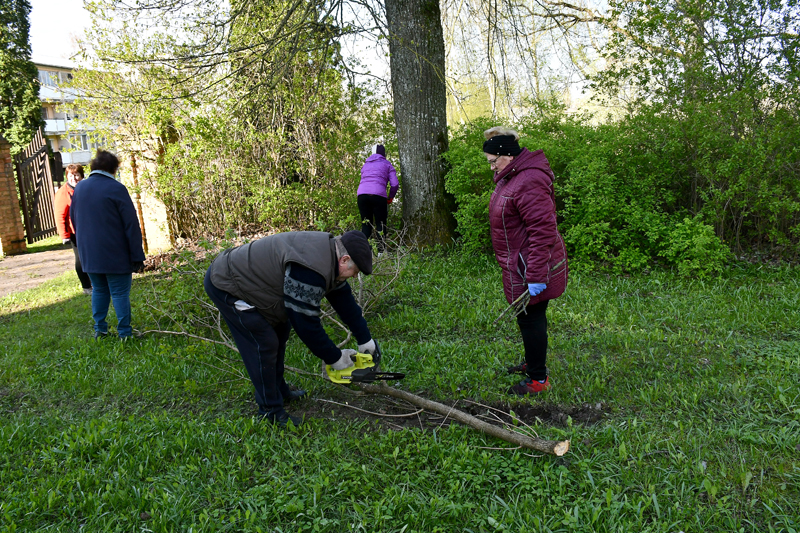 Autors: www.bauskasdzive.lv