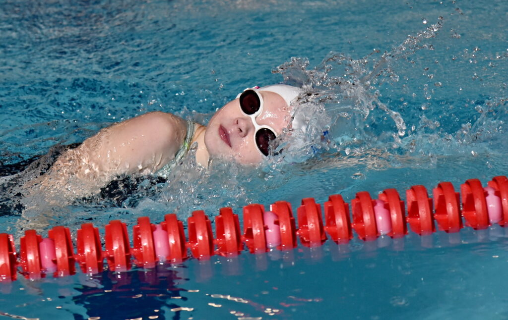 Autors: Uldis Varnevičs