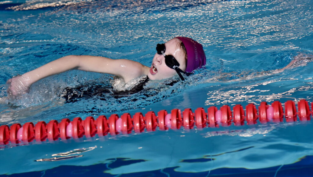 Autors: Uldis Varnevičs