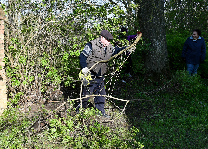 Autors: www.bauskasdzive.lv