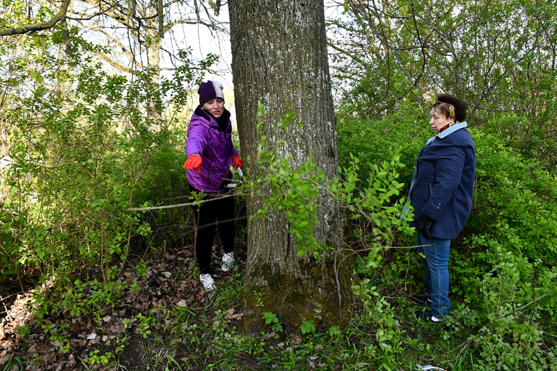 Autors: www.bauskasdzive.lv