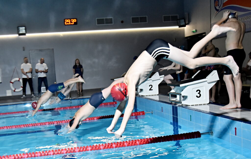 Autors: Uldis Varnevičs