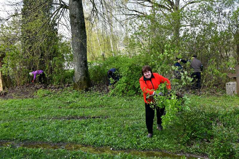 Autors: www.bauskasdzive.lv