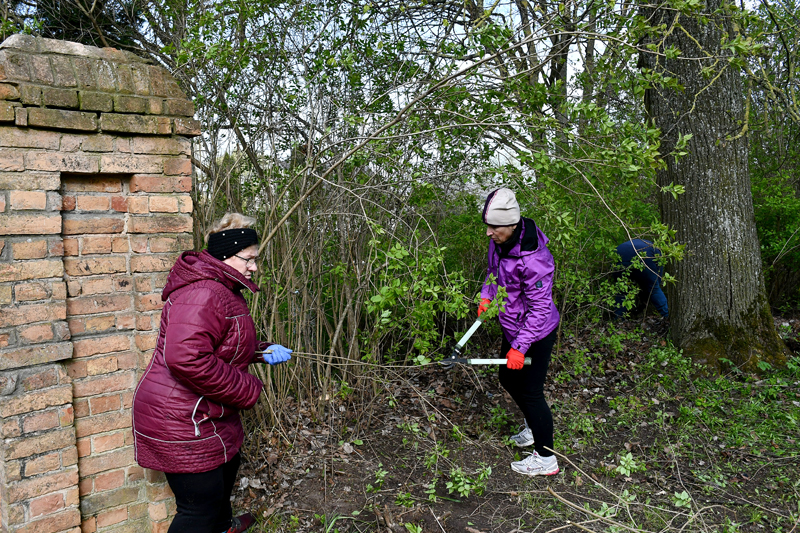 Autors: www.bauskasdzive.lv