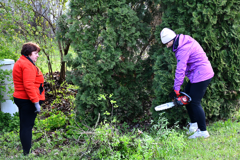 Autors: www.bauskasdzive.lv