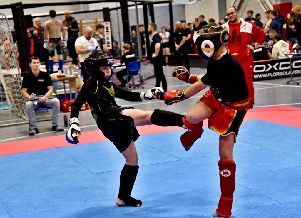 Autors: Uldis Varnevičs