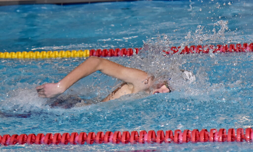 Autors: Uldis Varnevičs