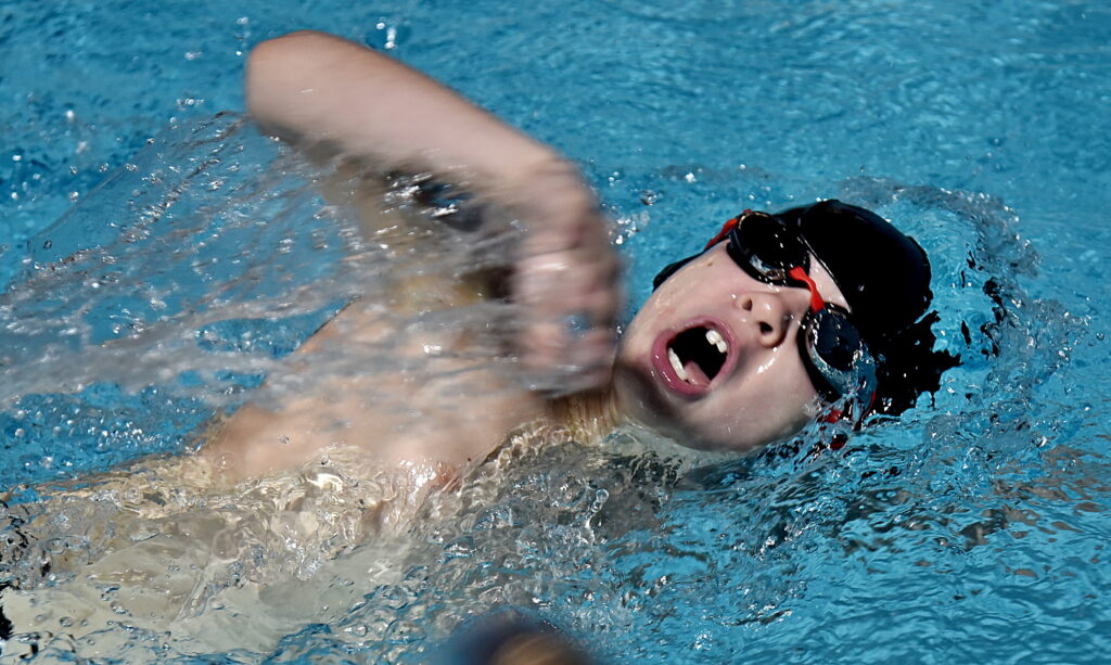 Autors: Uldis Varnevičs