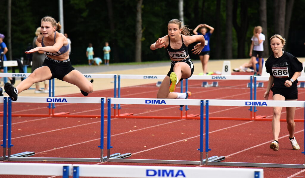 Autors: Uldis Varnevičs