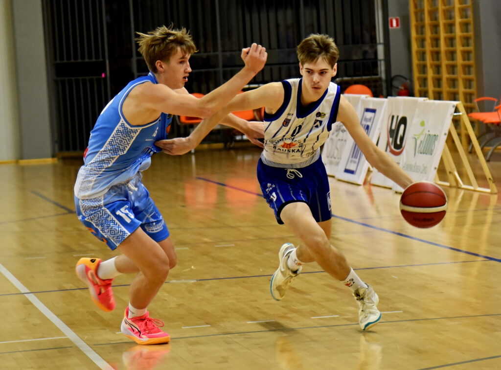 Autors: Uldis Varnevičs