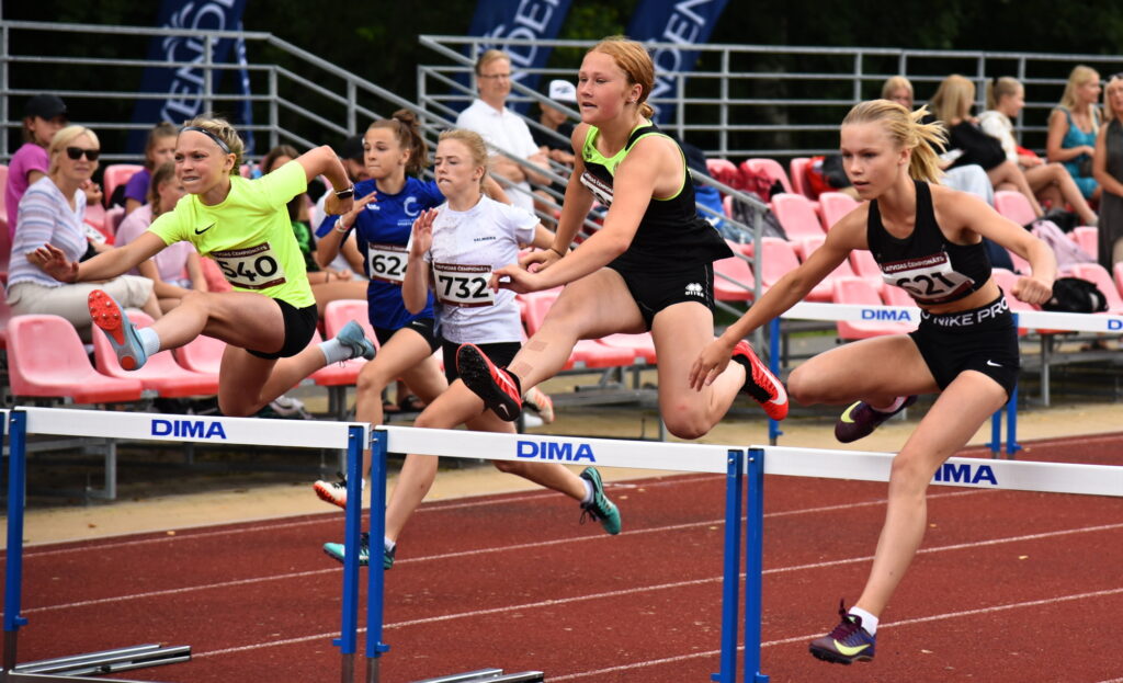 Autors: Uldis Varnevičs