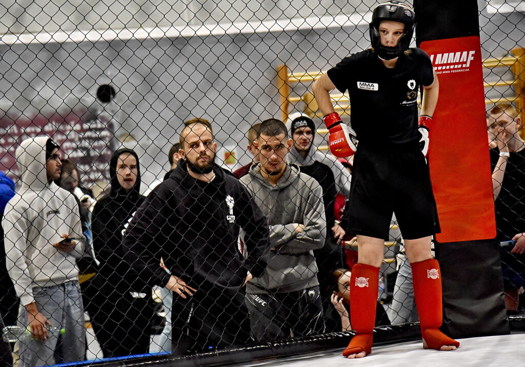 Autors: Uldis Varnevičs