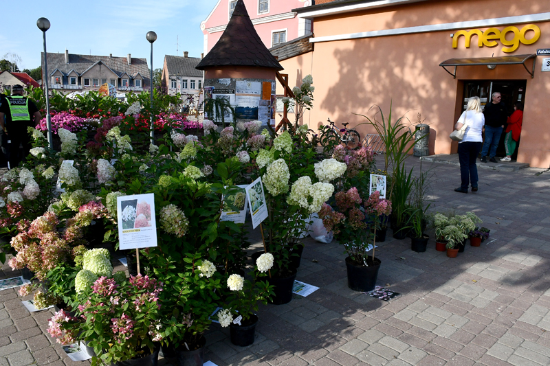 Autors: Ivars Bogdanovs