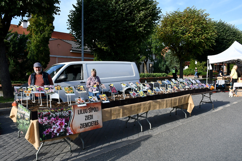 Autors: Ivars Bogdanovs