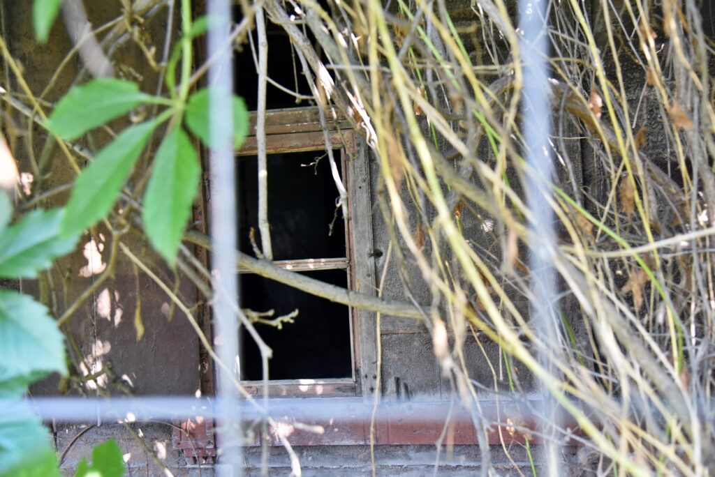 Autors: Uldis Varnevičs