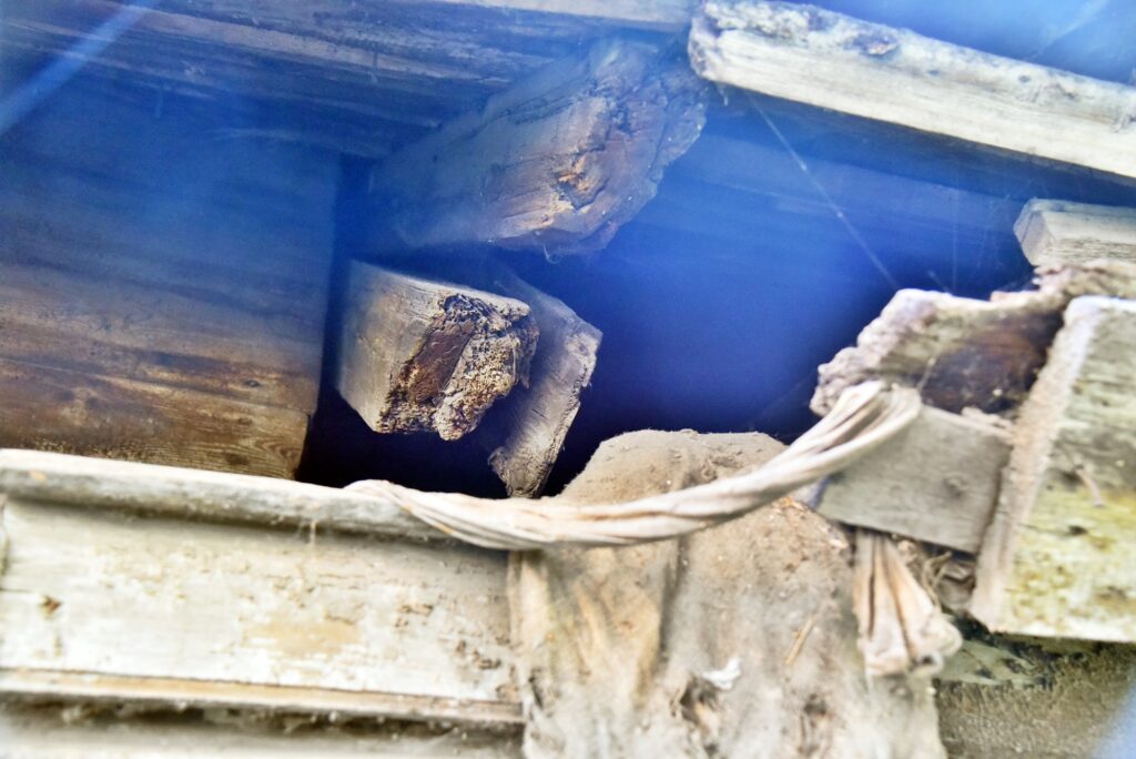 Autors: Uldis Varnevičs