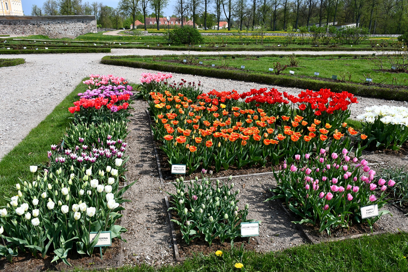 Autors: Ivars Bogdanovs