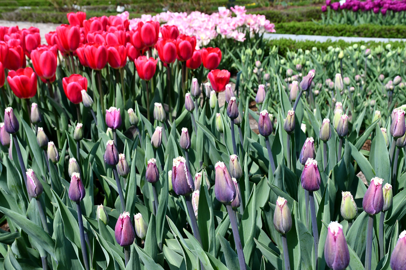 Autors: Ivars Bogdanovs