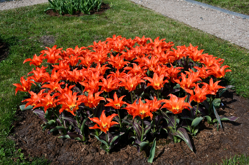 Autors: Ivars Bogdanovs