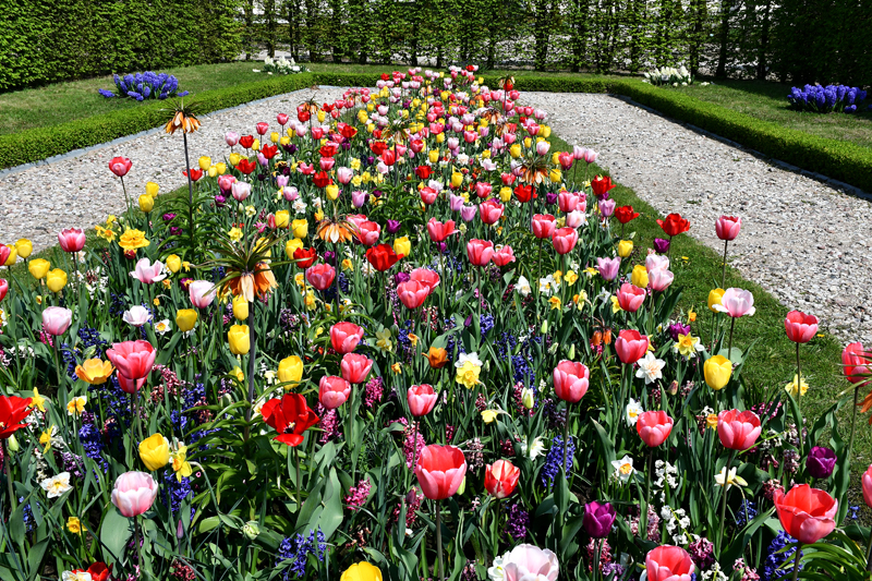 Autors: Ivars Bogdanovs