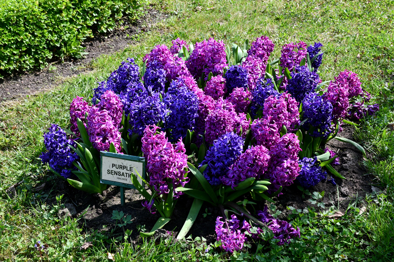 Autors: Ivars Bogdanovs