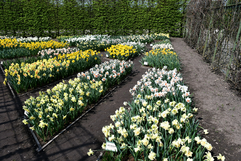 Autors: Ivars Bogdanovs