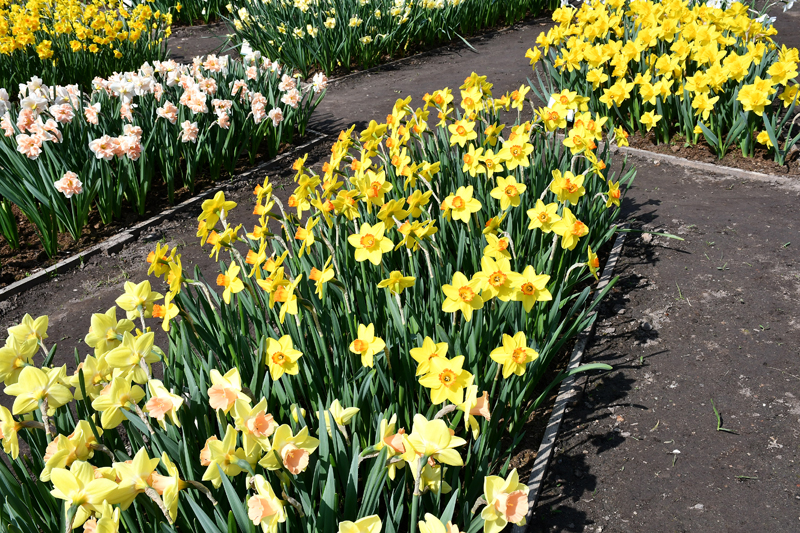 Autors: Ivars Bogdanovs