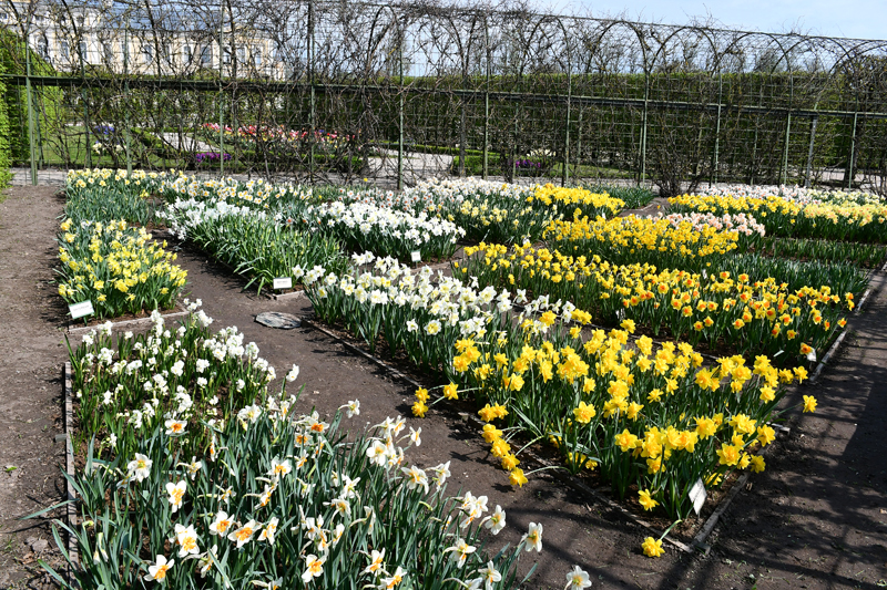 Autors: Ivars Bogdanovs