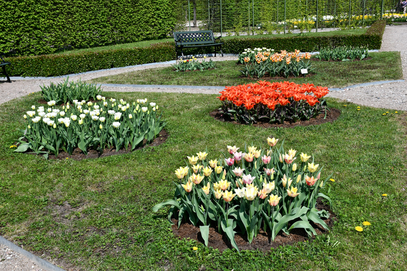 Autors: Ivars Bogdanovs