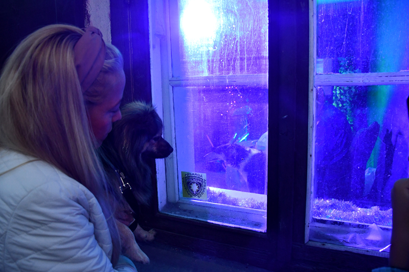 Autors: Ivars Bogdanovs