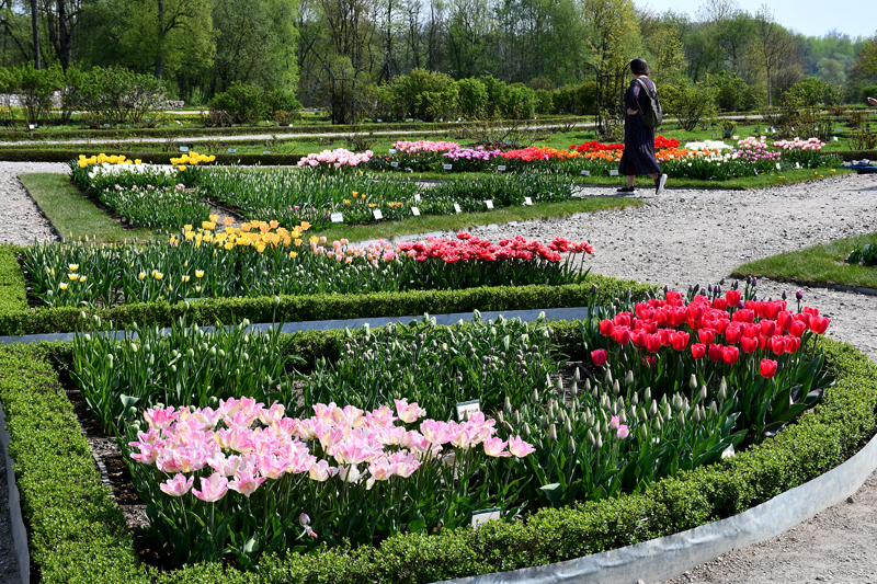 Autors: Ivars Bogdanovs