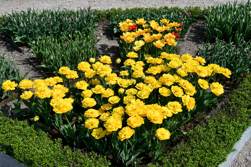 Autors: Ivars Bogdanovs