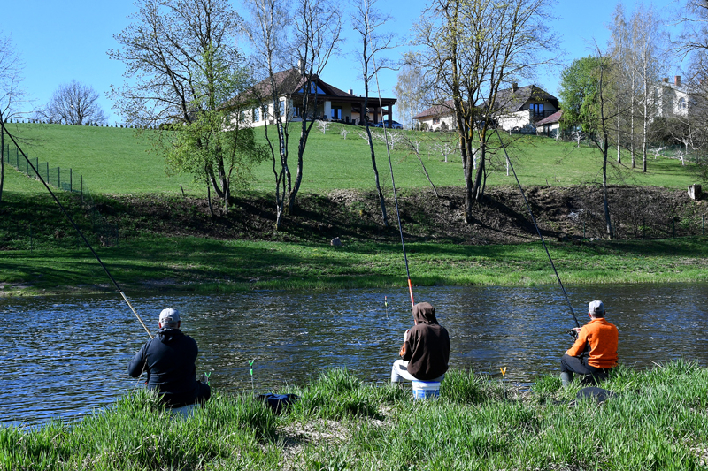 Autors: Ivars Bogdanovs