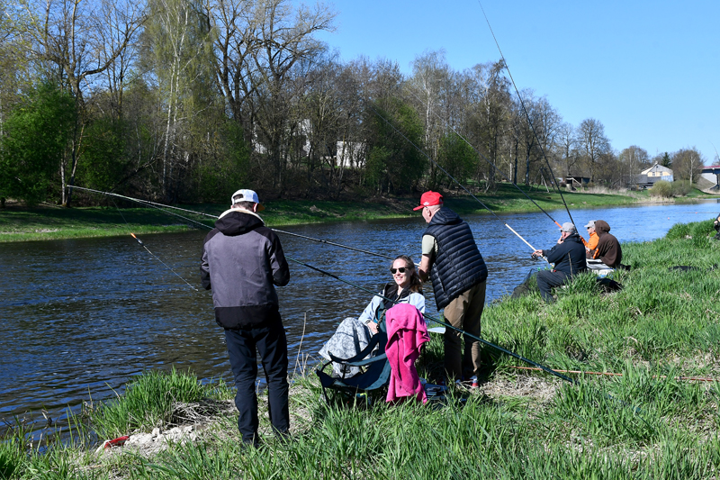 Autors: Ivars Bogdanovs