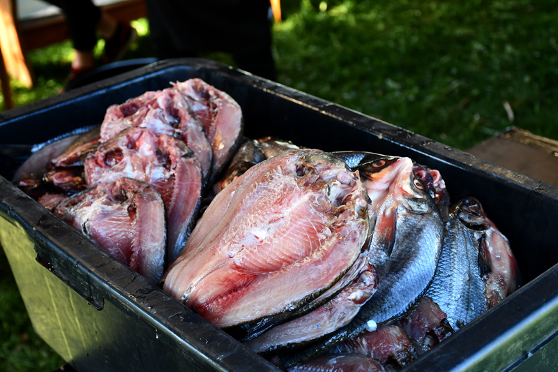 Autors: Ivars Bogdanovs