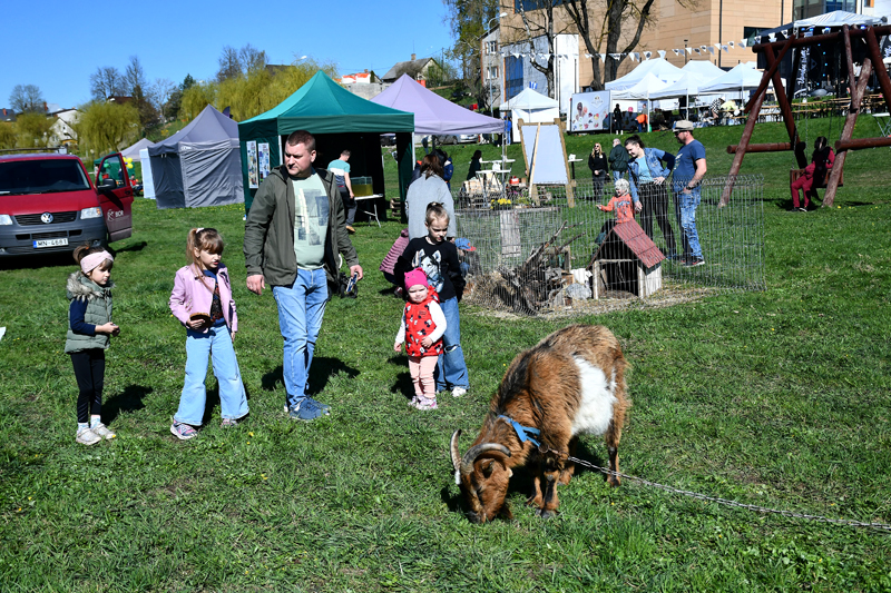 Autors: Ivars Bogdanovs