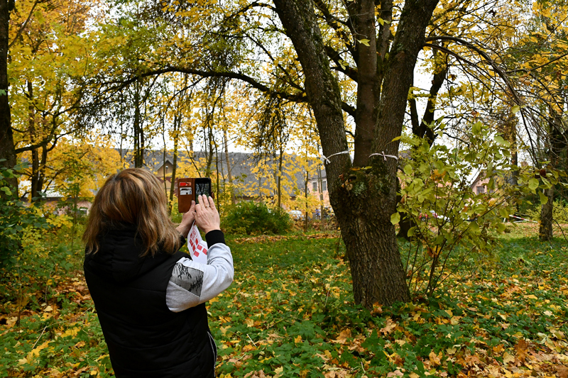 Autors: Ivars Bogdanovs