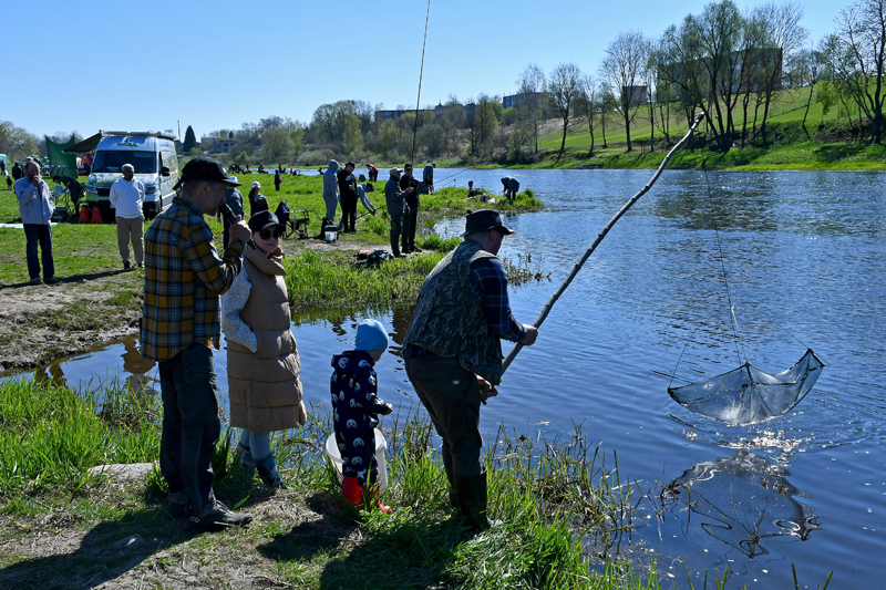 Autors: Ivars Bogdanovs