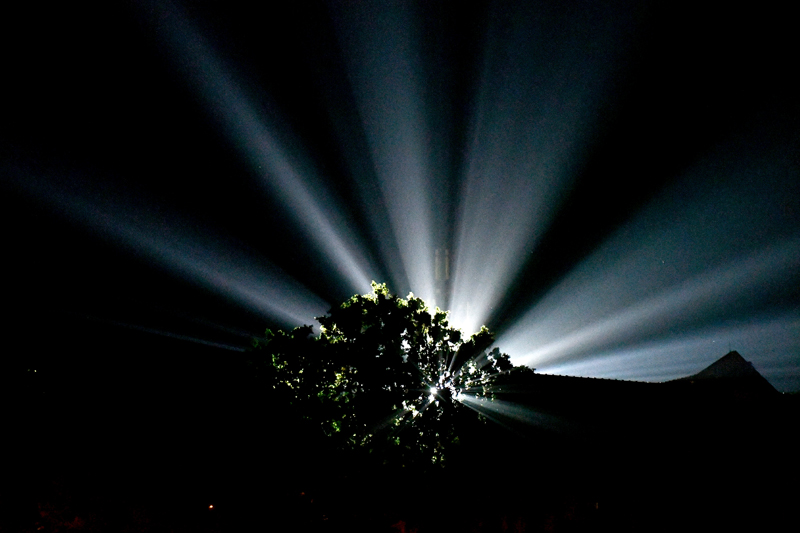 Autors: Ivars Bogdanovs