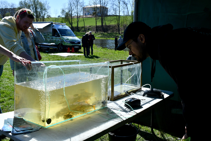 Autors: Ivars Bogdanovs