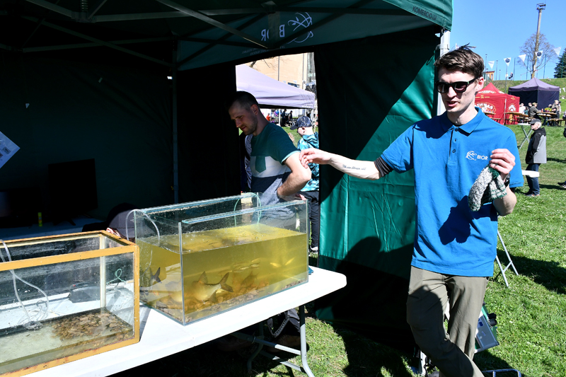 Autors: Ivars Bogdanovs