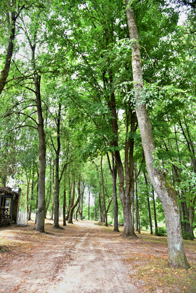 Autors: Uldis Varnevičs