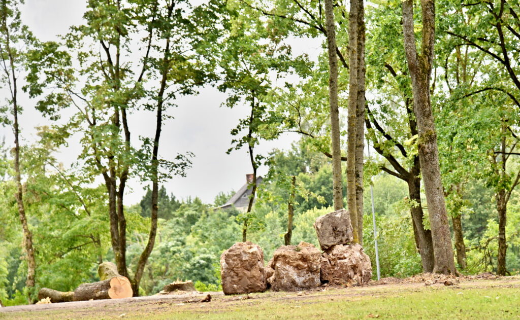 Autors: Uldis Varnevičs