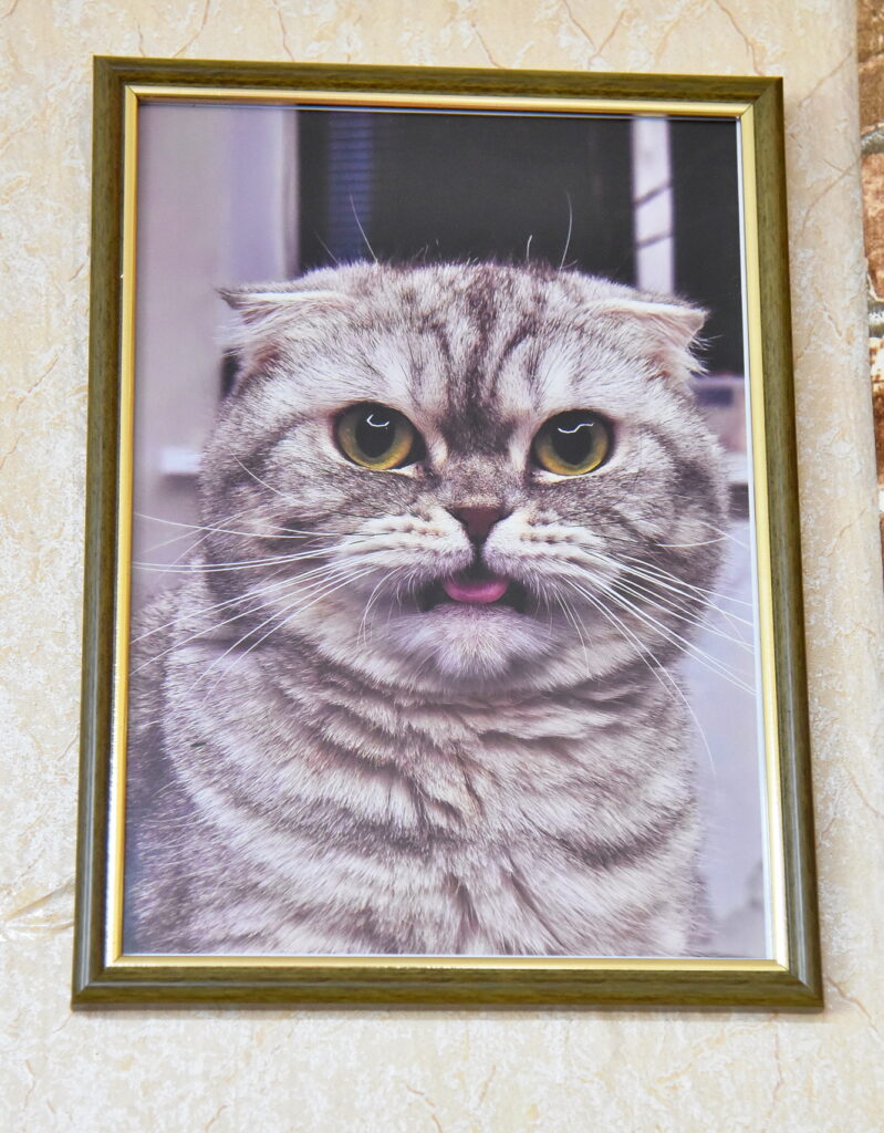 Autors: Uldis Varnevičs