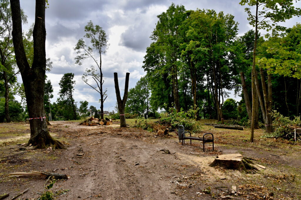 Autors: Uldis Varnevičs