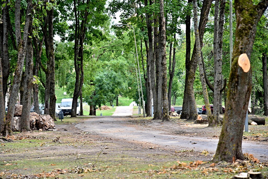 Autors: Uldis Varnevičs