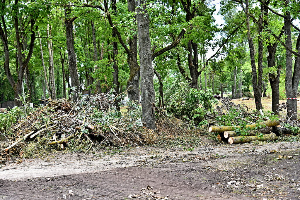 Autors: Uldis Varnevičs