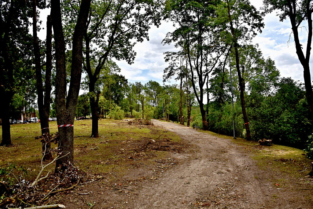 Autors: Uldis Varnevičs