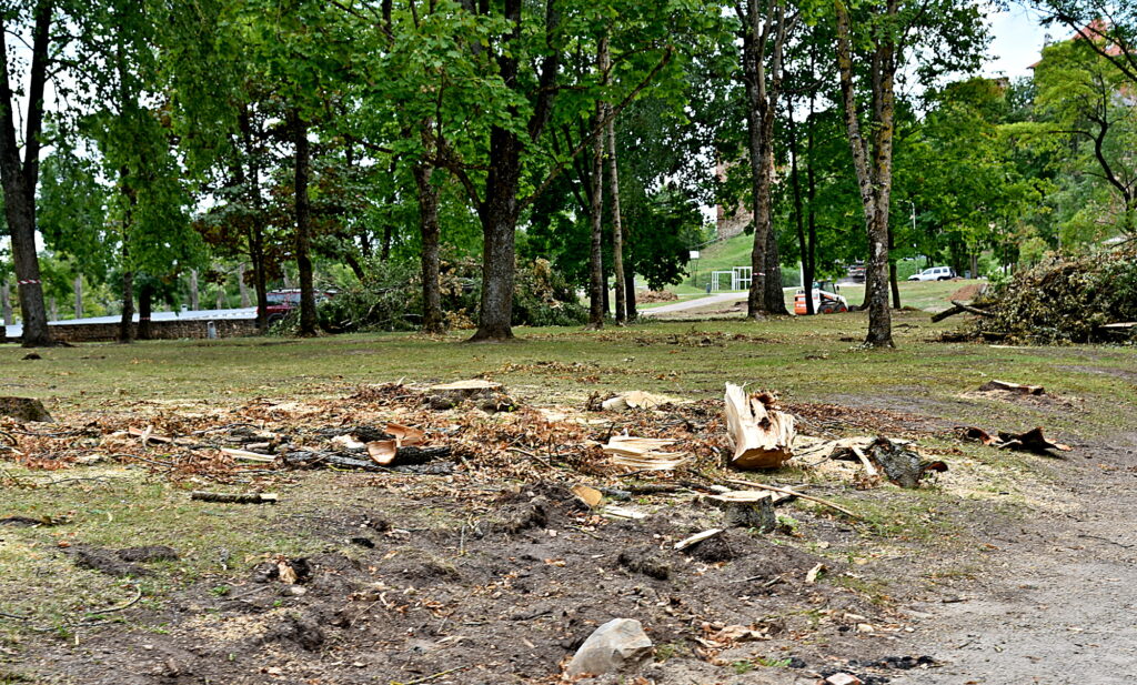 Autors: Uldis Varnevičs