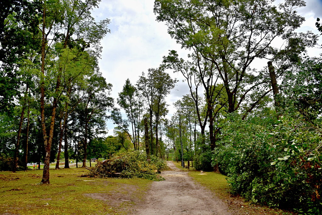 Autors: Uldis Varnevičs